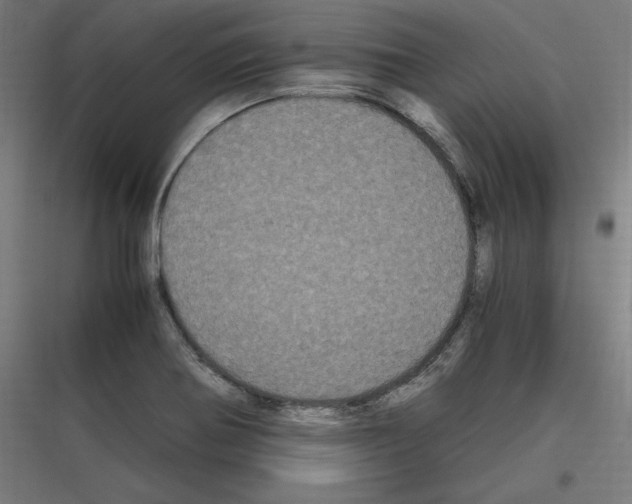 X0000116781370201001281205