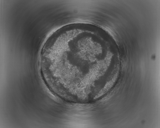 X0000116781371201001281205