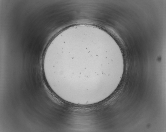 X0000116781372201001281205