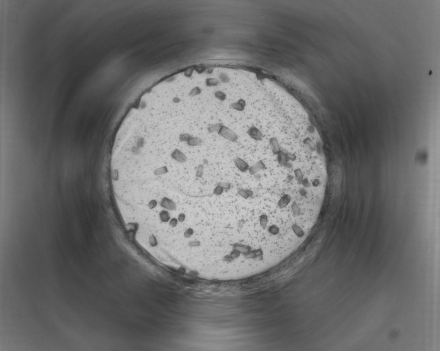 X0000116781374201001281205