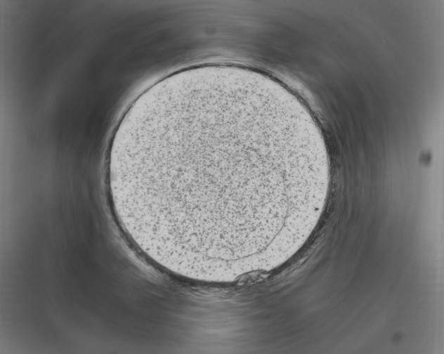 X0000116781375201001281205