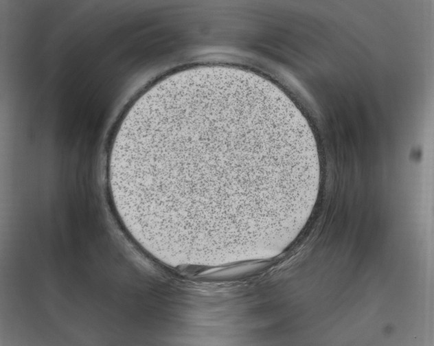 X0000116781376201001281205