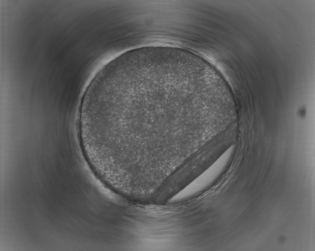 X0000116781379201001281205