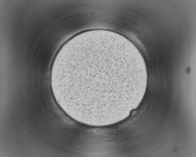 X0000116781380201001281205