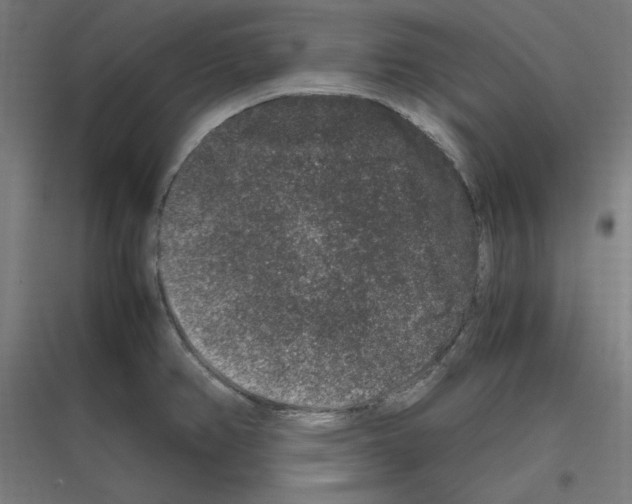 X0000116781382201001281205