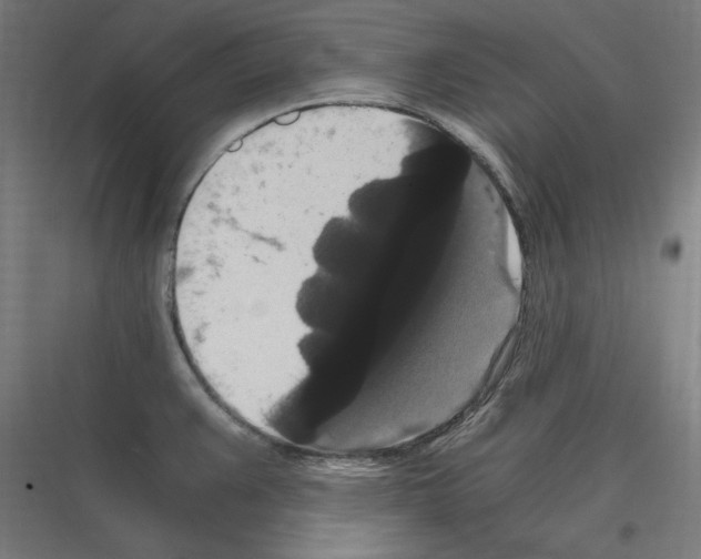 X0000116781383201001281205