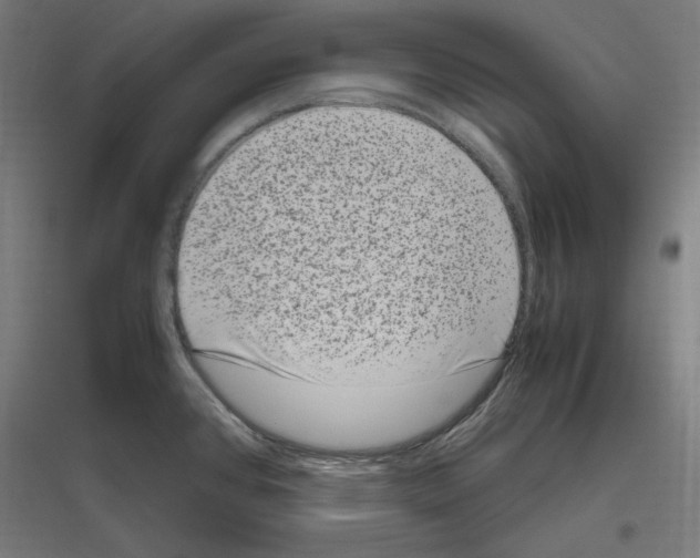 X0000116781384201001281205