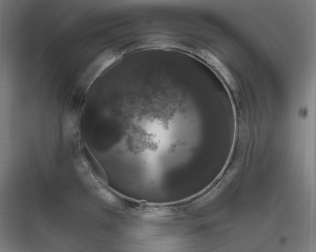 X0000116781385201001281205