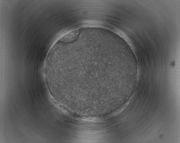 X0000116781386201001281205