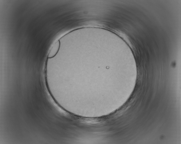 X0000116781387201001281205