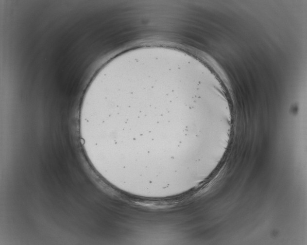 X0000116781388201001281205