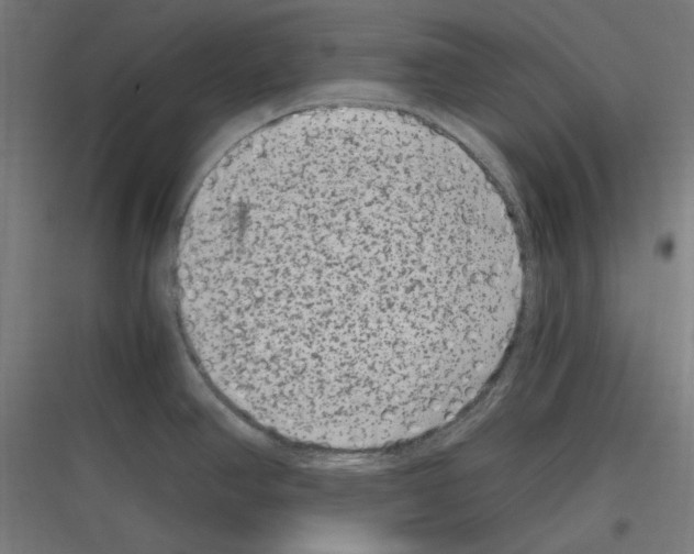 X0000116781390201001281205