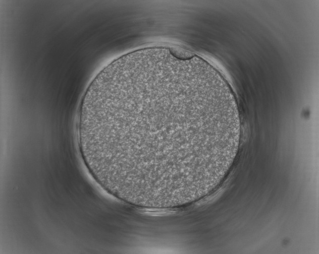 X0000116781391201001281205