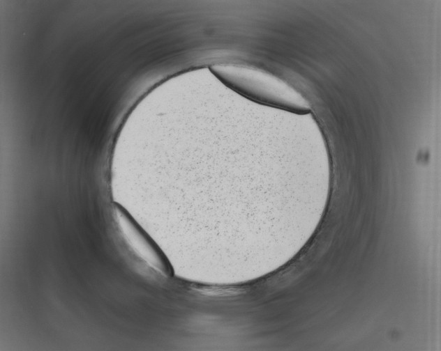 X0000116781392201001281205