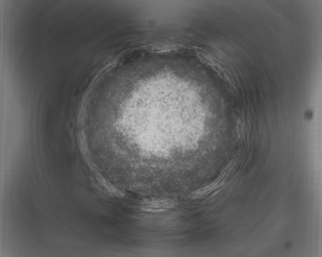 X0000116781393201001281204