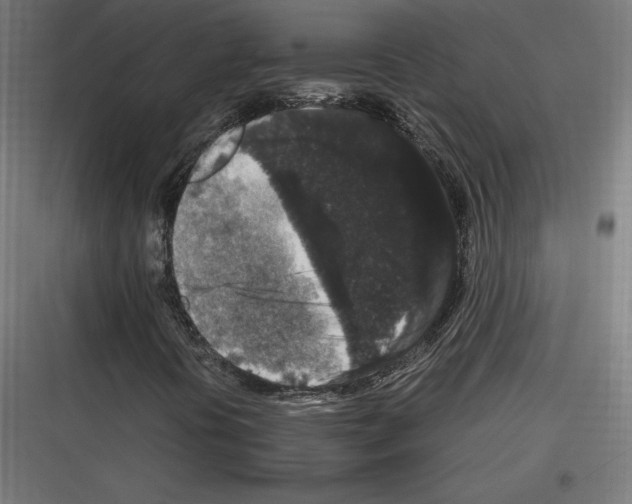 X0000116781394201001281204