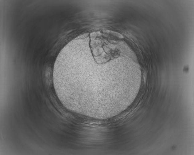 X0000116781396201001281205