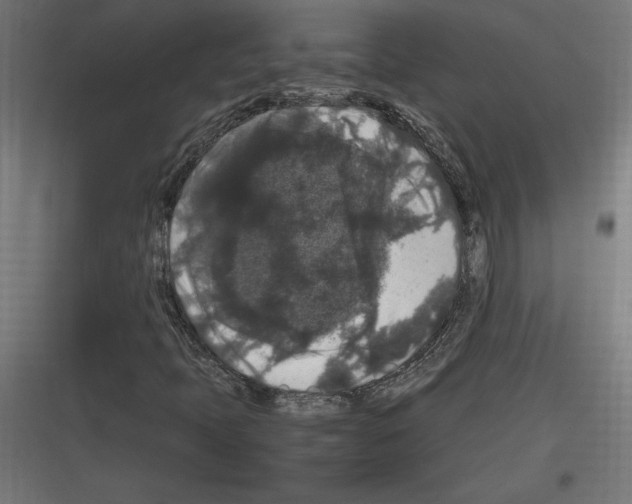 X0000116781397201001281205