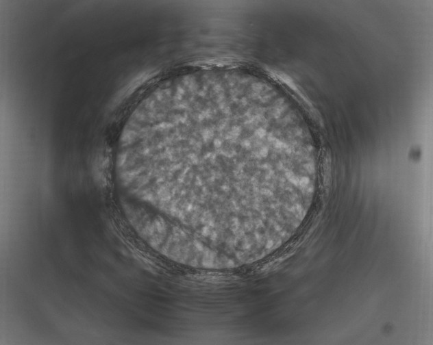 X0000116781399201001281205