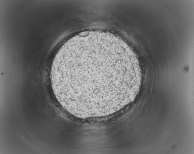 X0000116781400201001281205