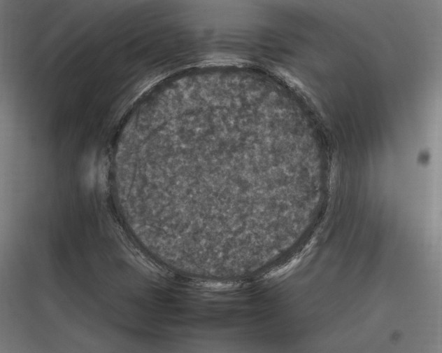 X0000116781401201001281205