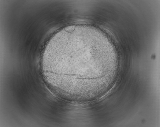 X0000116781402201001281205