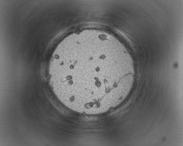 X0000116781403201001281205