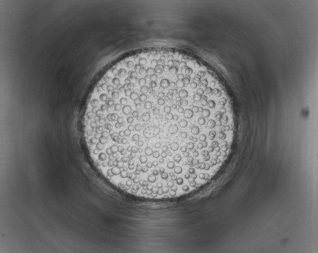 X0000116781404201001281205