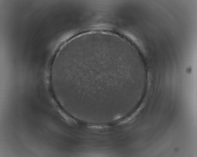 X0000116781405201001281205