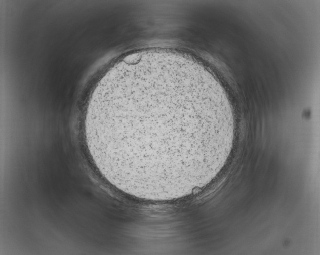 X0000116781406201001281205