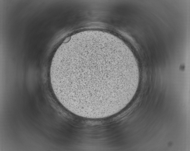 X0000116781407201001281205