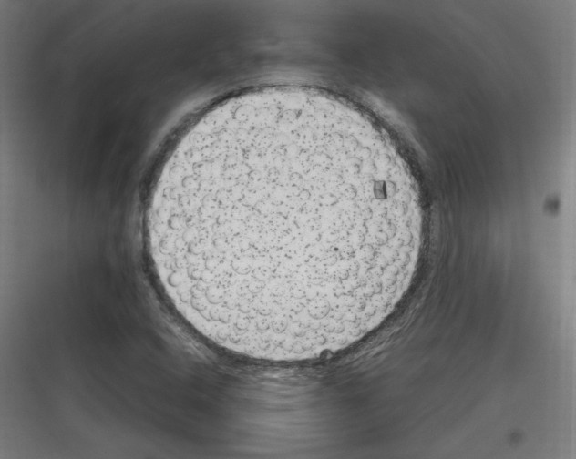 X0000116781408201001281205