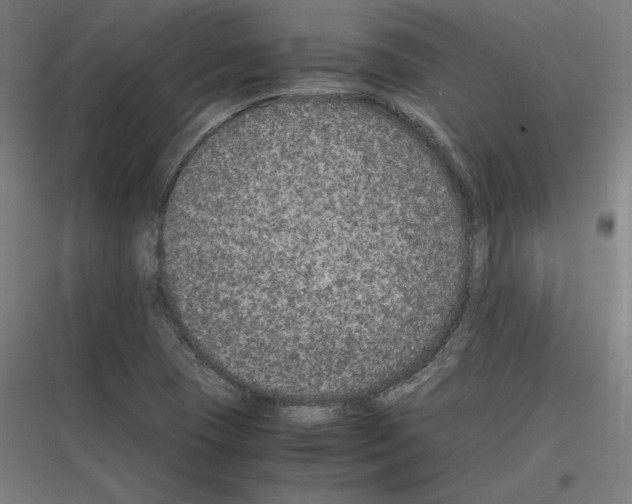 X0000116781409201001281205