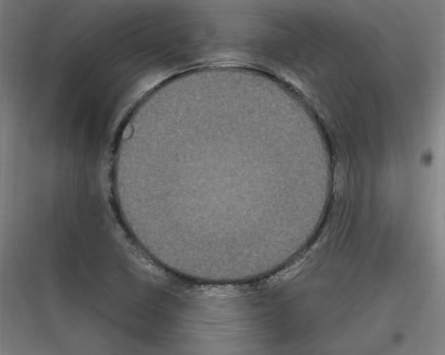 X0000116781410201001281205