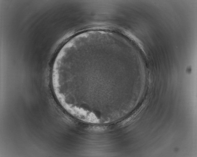 X0000116781411201001281205