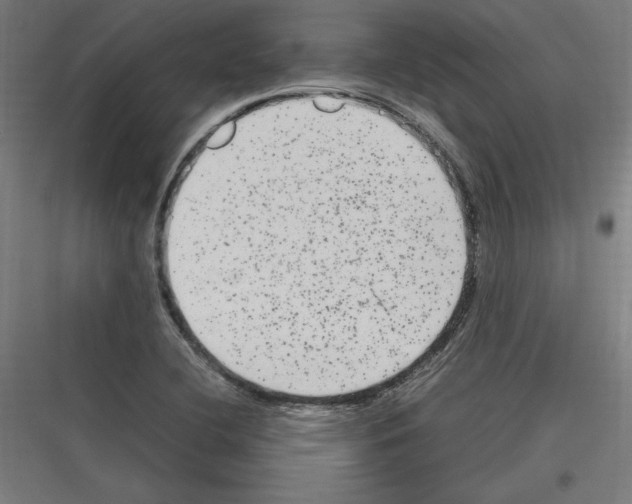 X0000116781412201001281205