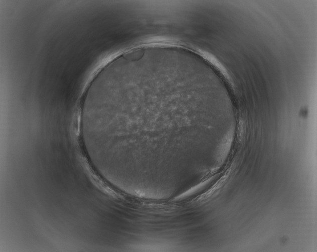 X0000116781413201001281205