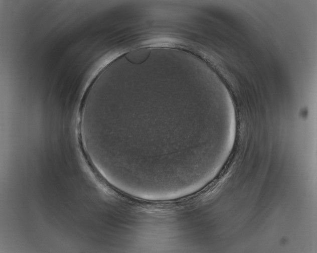 X0000116781418201001281205