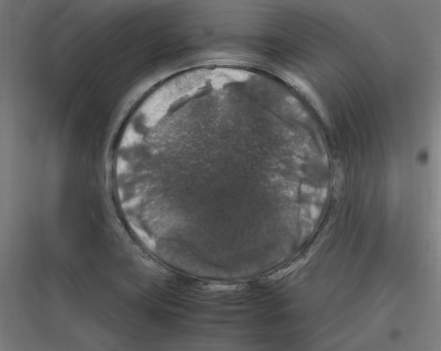 X0000116781419201001281205