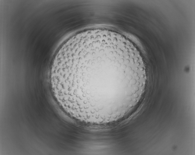 X0000116781420201001281205