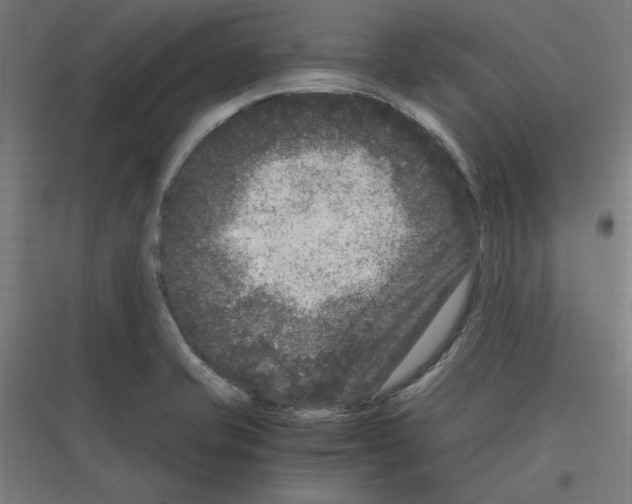 X0000116781421201001281205