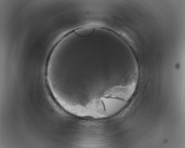 X0000116781422201001281205