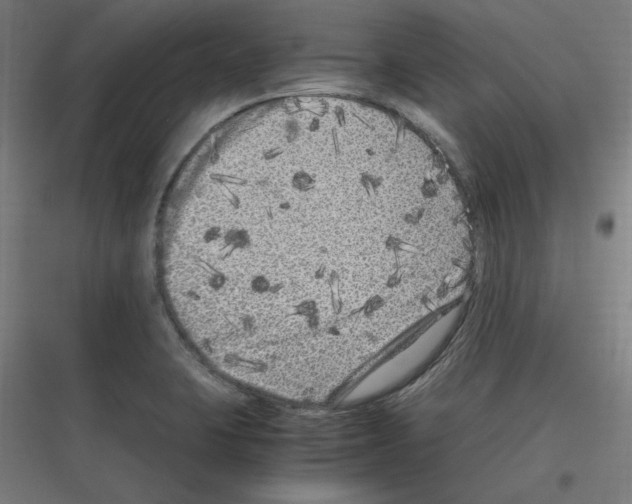 X0000116781423201001281205