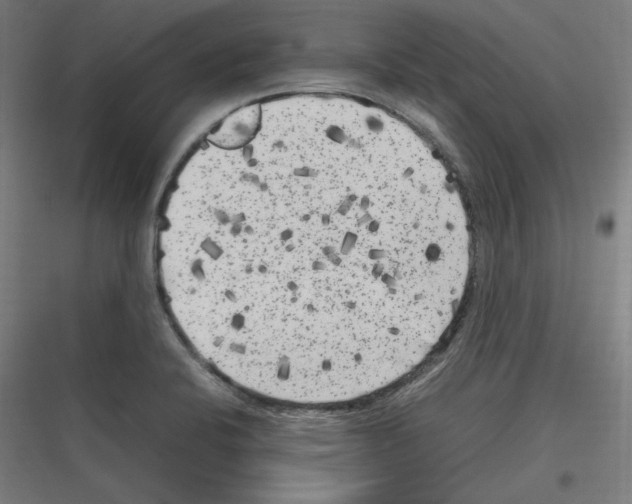 X0000116781424201001281205