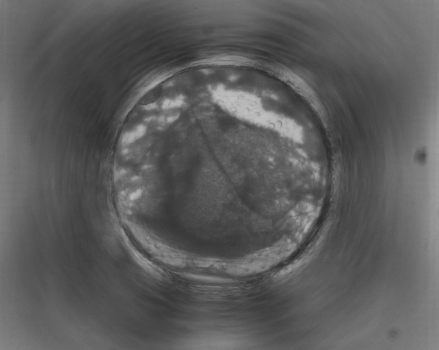 X0000116781425201001281205