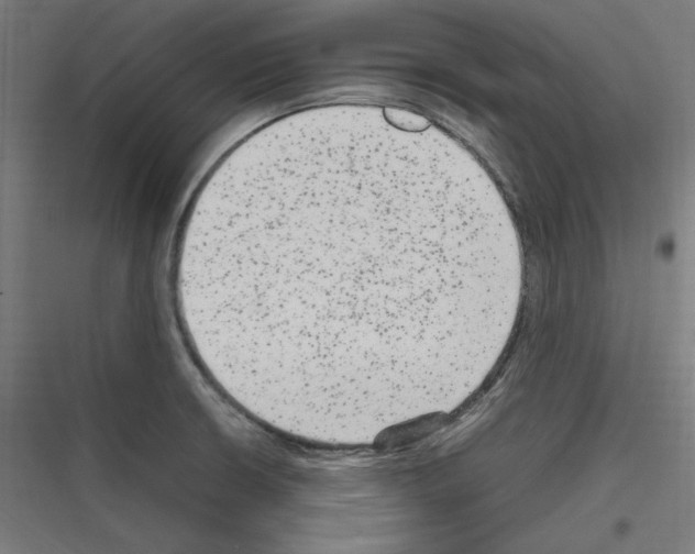 X0000116781426201001281205