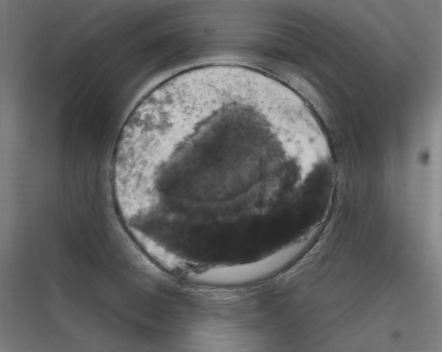 X0000116781428201001281205