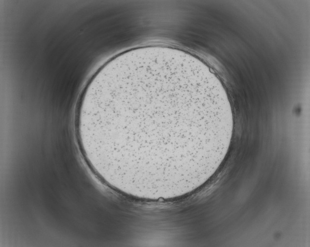 X0000116781430201001281205