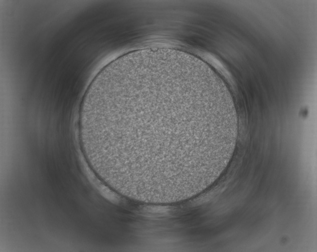 X0000116781431201001281205