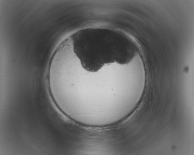 X0000116781432201001281205